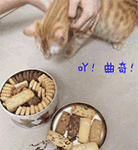 恶搞海豚音的表情帝是谁2 恶搞海豚音的表情帝是谁2