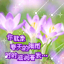 给你肩膀表情包11