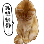 表情搞笑沙雕找工作6