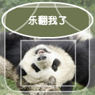 小缘滑稽脸表情包6