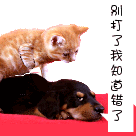 心情无奈图片图库5 心情无奈图片图库5