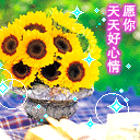 干嘛呢表情可爱3 干嘛呢表情可爱3