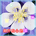 羽毛表情包沙雕1