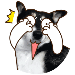 王俊的表情大全3 王俊的表情大全3