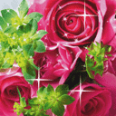 2025有关皮的的搞笑表情12