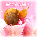 表情包超级沙雕表情包13