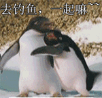 qq表情为什么加载不了7 qq表情为什么加载不了7