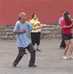 狗狗瞅人表情包12