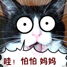 描述怎么的祝福表情7 描述怎么的祝福表情7