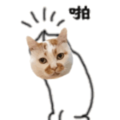 生日祝福语女性表情8 生日祝福语女性表情8