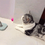 感觉被欺骗的表情包5