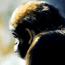 微信表情雨代码口令大全20253 微信表情雨代码口令大全20253