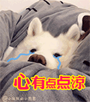 春分祝福您表情图10 春分祝福您表情图10