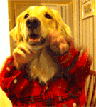 玩网表情包我要个性网10 玩网表情包我要个性网10