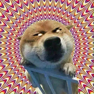 关于网络的表情包9