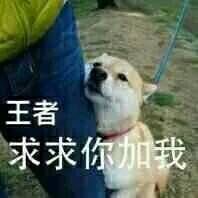 张学友演唱会中拍到不自然表情4 张学友演唱会中拍到不自然表情4