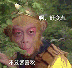 描述青岛的文字表情8