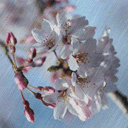 帅哥表演真专业表情9 帅哥表演真专业表情9