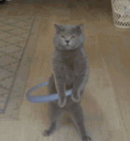 接收新表情包可爱动态9