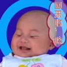 喵帕斯qq表情包2 喵帕斯qq表情包2