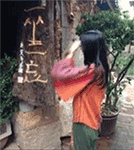 表情包憨憨猫咪沙雕1