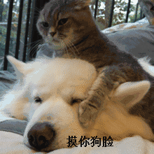 怎么加王俊凯的微信公众号11 怎么加王俊凯的微信公众号11