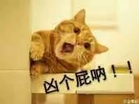 有人睡我没退群表情包6