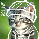 偷电动车养你文字表情包4 偷电动车养你文字表情包4