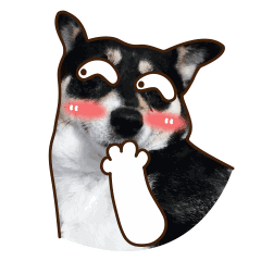 用表情包拼出一个爱心qq10 用表情包拼出一个爱心qq10