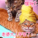 给你一朵花花表情包3 给你一朵花花表情包3