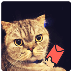 学生群敲打表情被批3