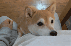 松本润恶搞表情图8 松本润恶搞表情图8