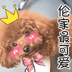 微信怎么传表情包给别人2 微信怎么传表情包给别人2