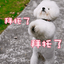 爱情闯进门小姐姐表情凝重4 爱情闯进门小姐姐表情凝重4