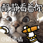 做不到表情图 可爱8