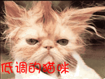 挂念的图片文字15 挂念的图片文字15