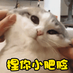 这样将QQ的表情传到微信10