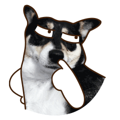 15张动画的iphone表情10 15张动画的iphone表情10