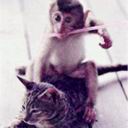 国庆节祝福小视频表情包8 国庆节祝福小视频表情包8