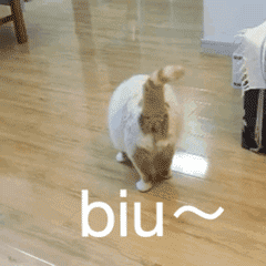 微信祝福表情带字图片8