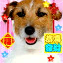 老婆抱表情包什么意思3