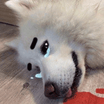 宝宝生气了表情包卡通5