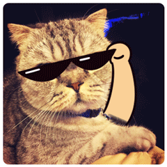 军港之夜动态表情4