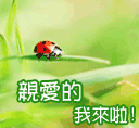 晒黑的表情图7 晒黑的表情图7