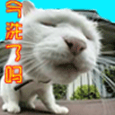 心情与表情的ppt6 心情与表情的ppt6