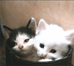 沙雕表情画图片7 沙雕表情画图片7