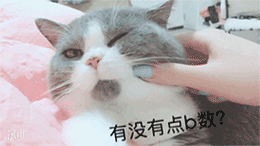 萌娃生气发火表情图片大全可爱5 萌娃生气发火表情图片大全可爱5