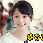 猫咪表情包高清2