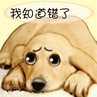 简笔画小人表情包gif3 简笔画小人表情包gif3