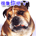 苹果手机微信聊天表情女士头像7